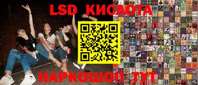 крисы Будённовск