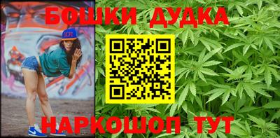 крисы Будённовск