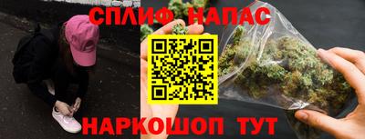 крисы Будённовск