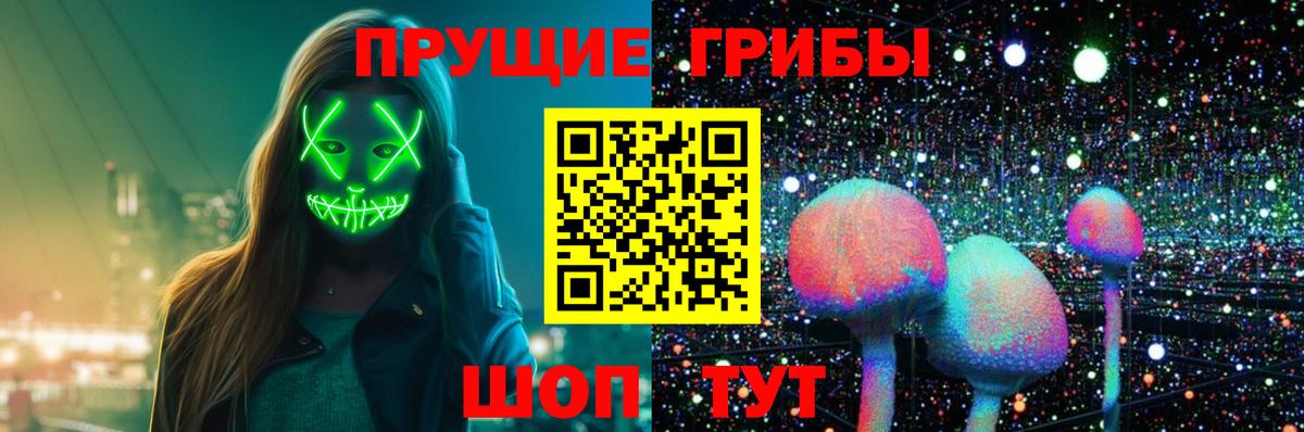 Псилоцибиновые грибы мицелий Старый Оскол